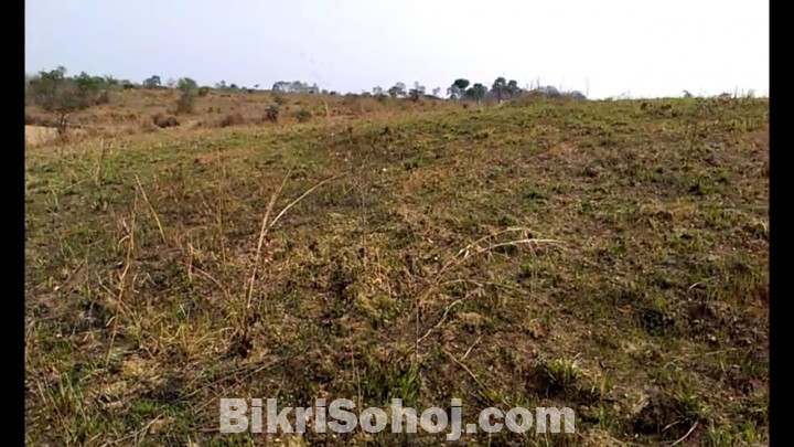 52 bigha land for sale